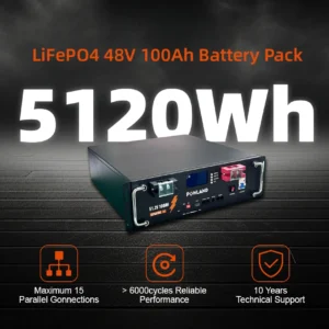 51.2V 100Ah LiFePO4 Battery