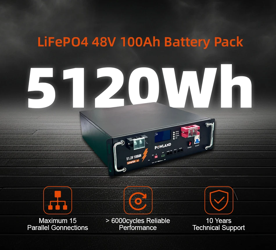 51.2V 100Ah LiFePO4 Battery - Image 2
